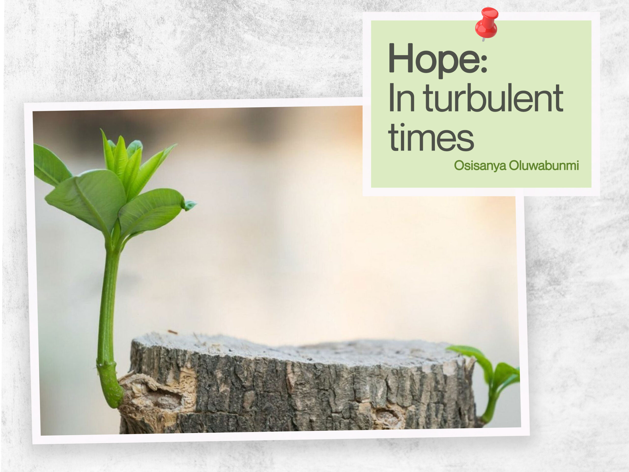 You are currently viewing Hope in turbulent times